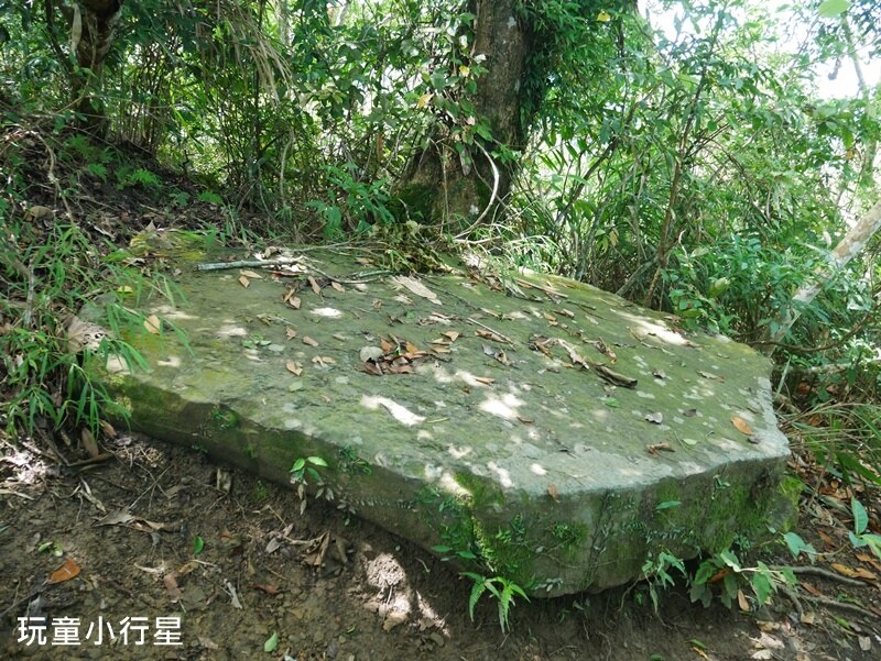 嘉義景點｜三角南山，大埔登山步道，跳跳農場起登｜嘉義賞梅