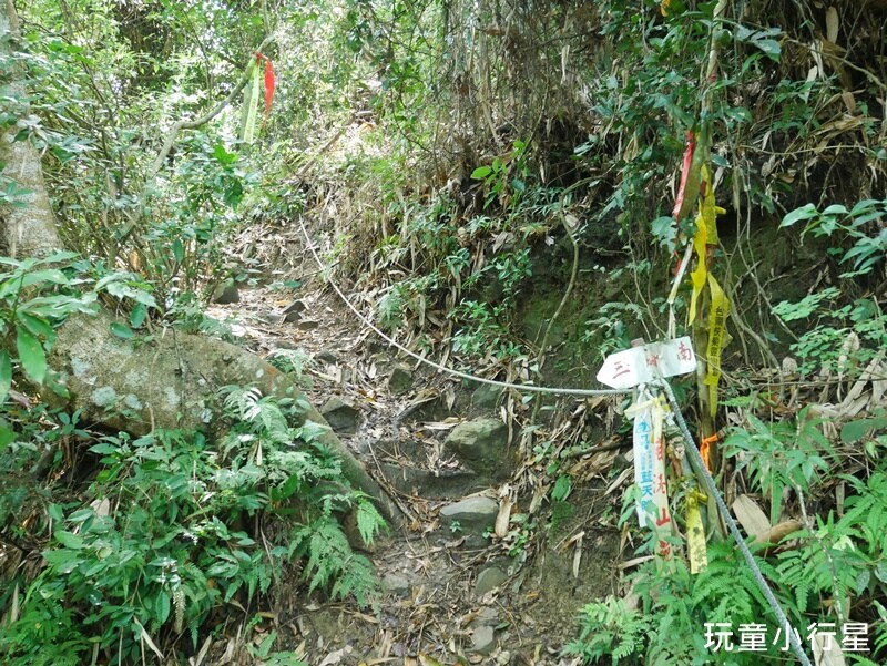 嘉義景點｜三角南山，大埔登山步道，跳跳農場起登｜嘉義賞梅