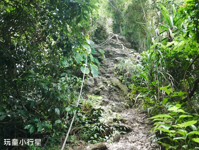 嘉義景點｜三角南山，大埔登山步道，跳跳農場起登｜嘉義賞梅
