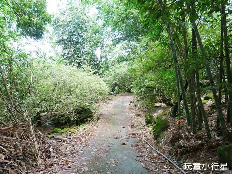 嘉義景點｜三角南山，大埔登山步道，跳跳農場起登｜嘉義賞梅