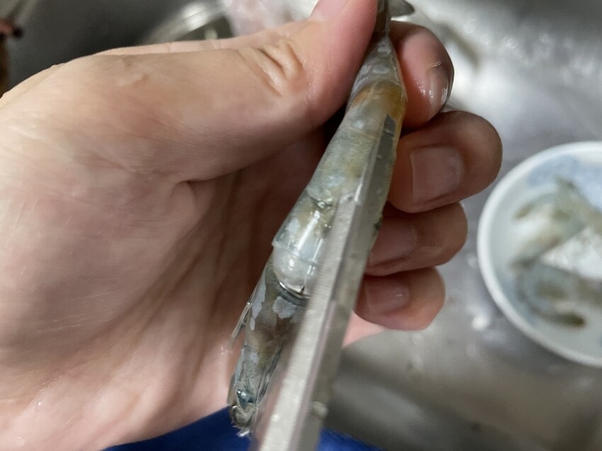 S__133775412.jpg S__133775412.jpg