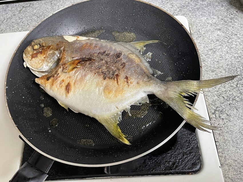 S__133775421.jpg S__133775421.jpg