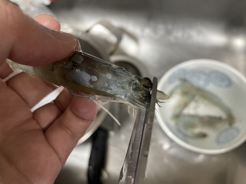 S__133775417.jpg S__133775417.jpg