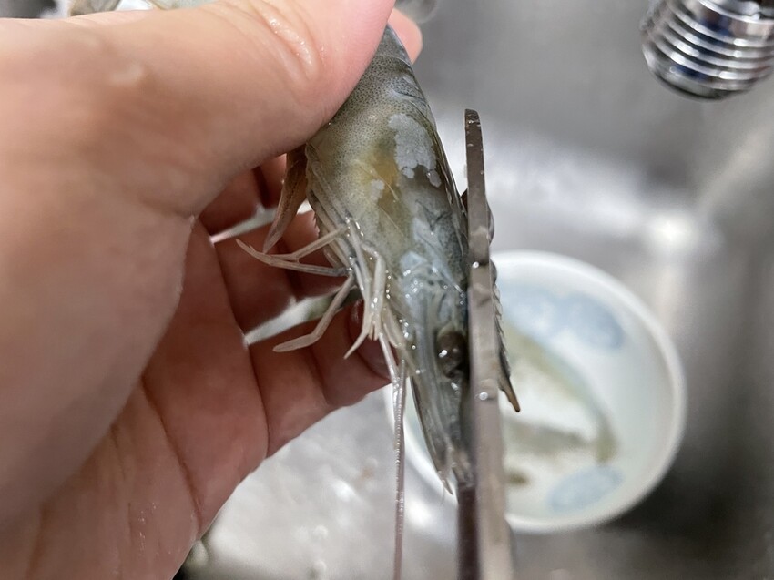 S__133775418.jpg S__133775418.jpg