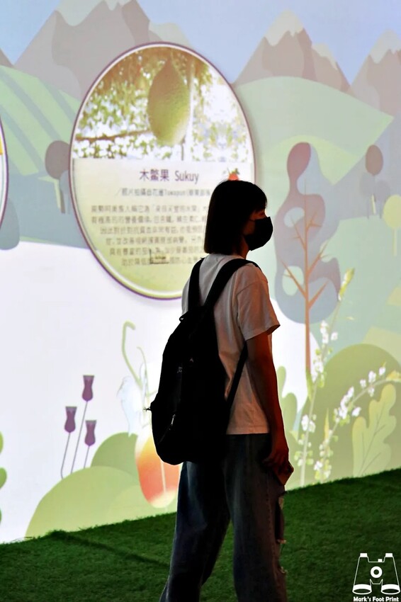 桃園市原住民族文化會館｜再創自然之詩『野菜遊原』一起採野菜囉～ - 馬克的足跡