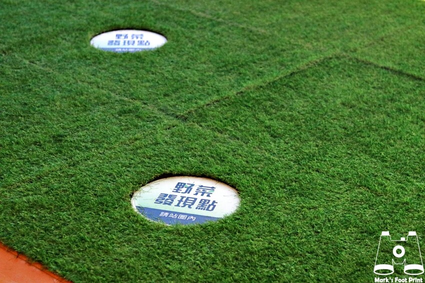 桃園市原住民族文化會館｜再創自然之詩『野菜遊原』一起採野菜囉～ - 馬克的足跡