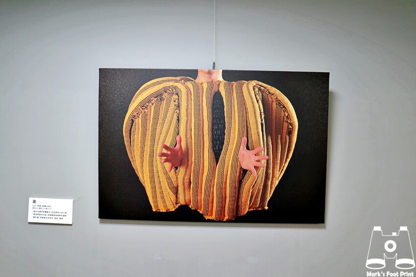 桃園市原住民族文化會館｜再創自然之詩『野菜遊原』一起採野菜囉～ - 馬克的足跡