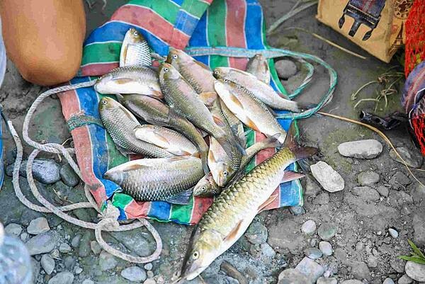 8A4A7398.jpg 8A4A7398.jpg