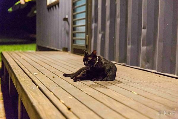 _A4A4751.jpg _A4A4751.jpg