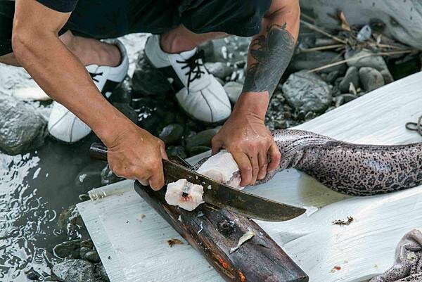 _A4A8225.jpg _A4A8225.jpg