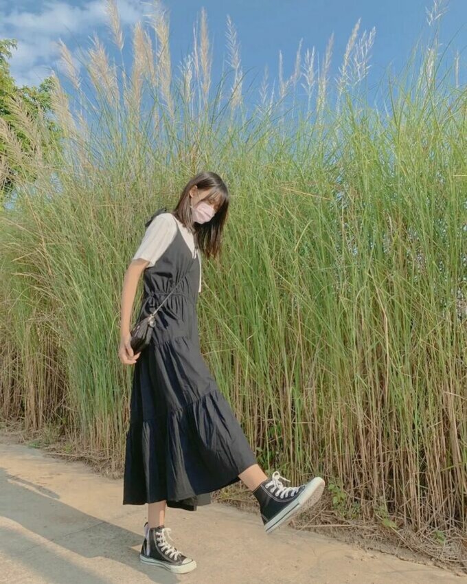 芒草季節、芒草