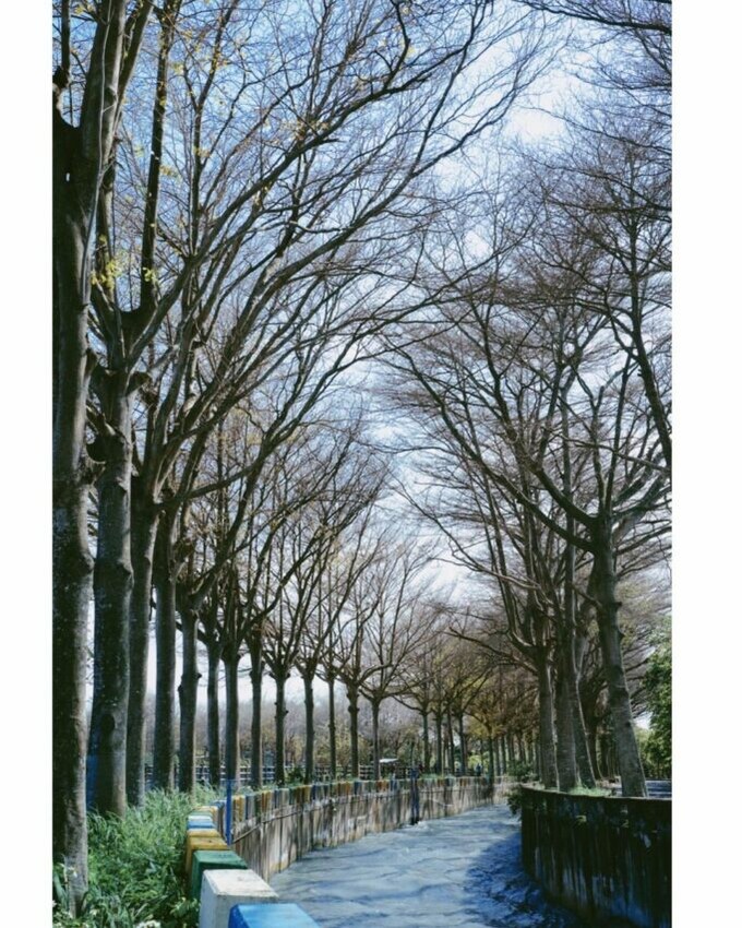 漫遊集集線|二水觀光自行車道,二水自行車道沿途皆能看到八堡圳的水道,以及各種八堡圳紀念建築。八堡圳是早期建設彰化地區的重要水利建設