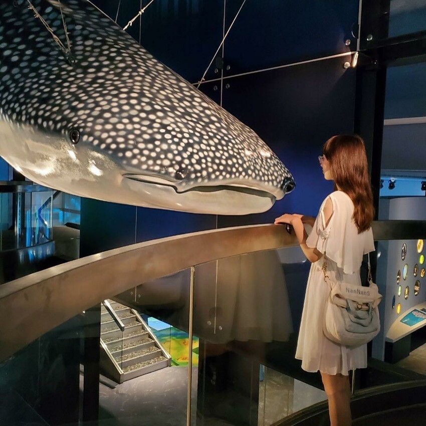 基隆海科館 海洋科技博物館,海洋博物館 展覽活動