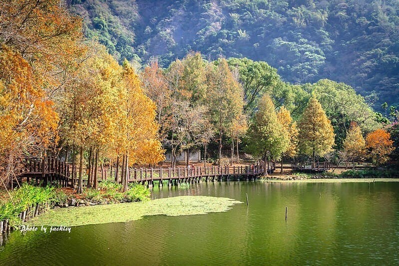 漫遊集集線|水里自行車道,沿途可以飽覽車埕幽靜的小鎮風光,以及水里溪清涼的溪谷景色,桐花季前來的話,還能欣賞到滿地雪白的花毯