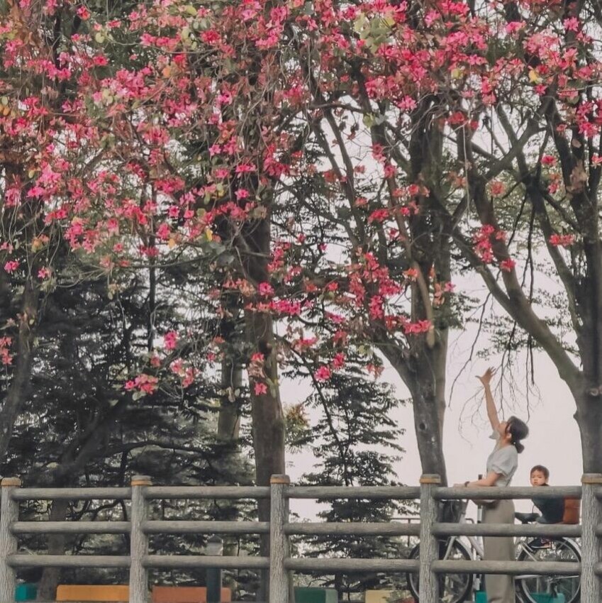 漫遊集集線|二水觀光自行車道,騎著自行車來到這裡,耳中能聽到轟隆的滂薄水聲,看著水門引入充沛的濁水溪進入八堡圳中,不免令人遙想當年彰化先民辛勤灌溉的景象。