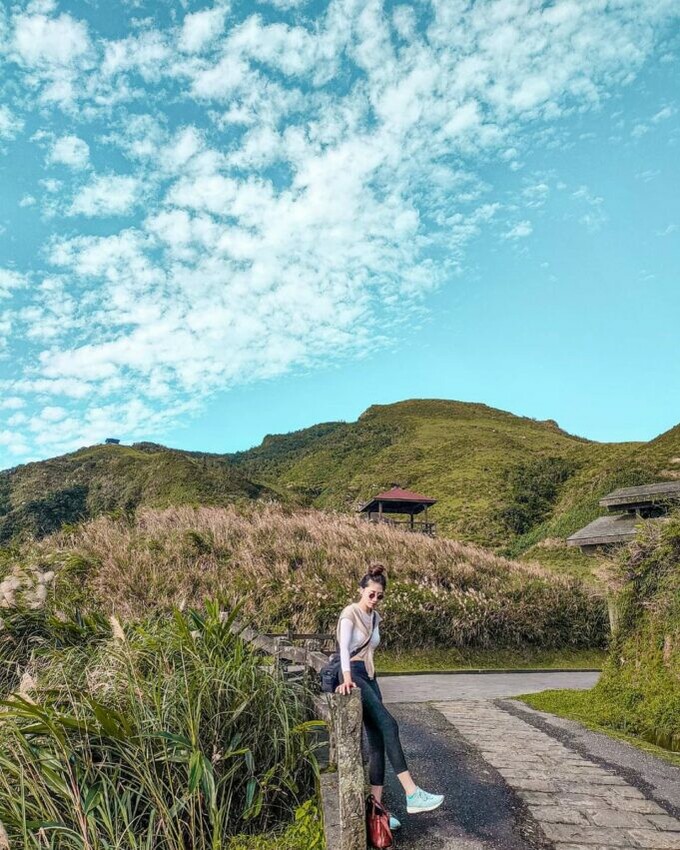 芒草季節、芒草