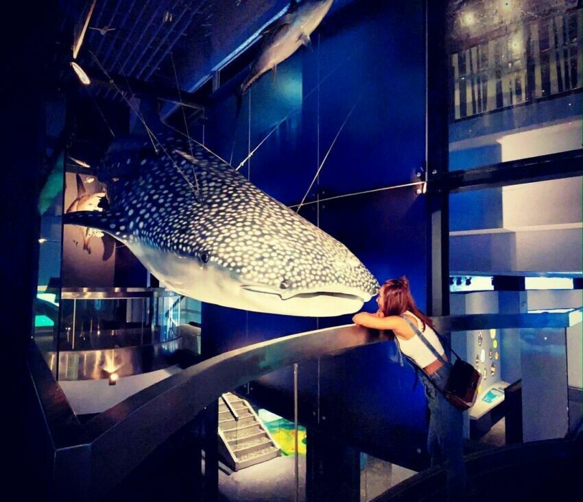 基隆忘憂谷附近景點,海科館不只有超大的巨口鯊標本,更利用模型,原汁原味的把早期的八斗子漁村搬進館內,讓逛博物館不再只是無聊的紙上談兵。