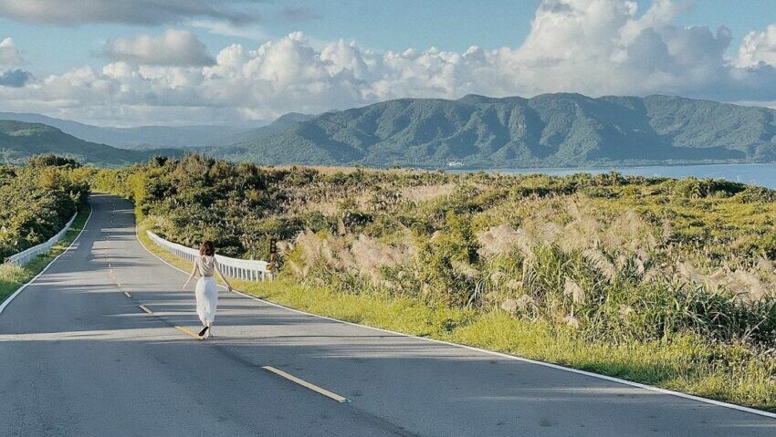芒草季節、芒草