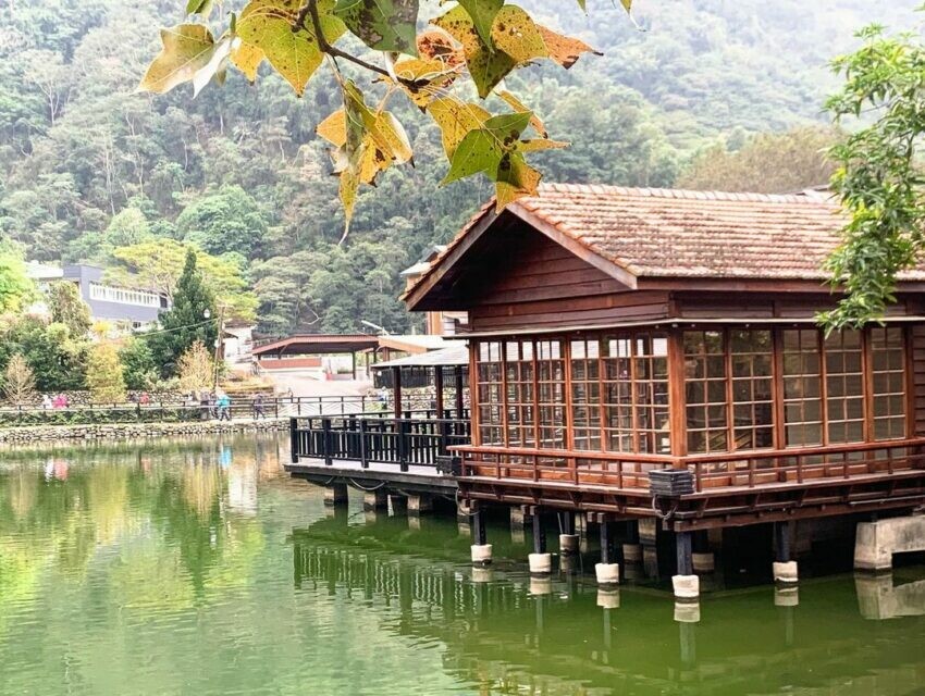 漫遊集集線|水里自行車道,車埕貯木池在水池旁修建完善的環湖步道,步道旁栽種著樟樹、落羽松等樹木,豐富乾淨的自然生態,同時吸引了不少水鳥和小動物在此棲息。