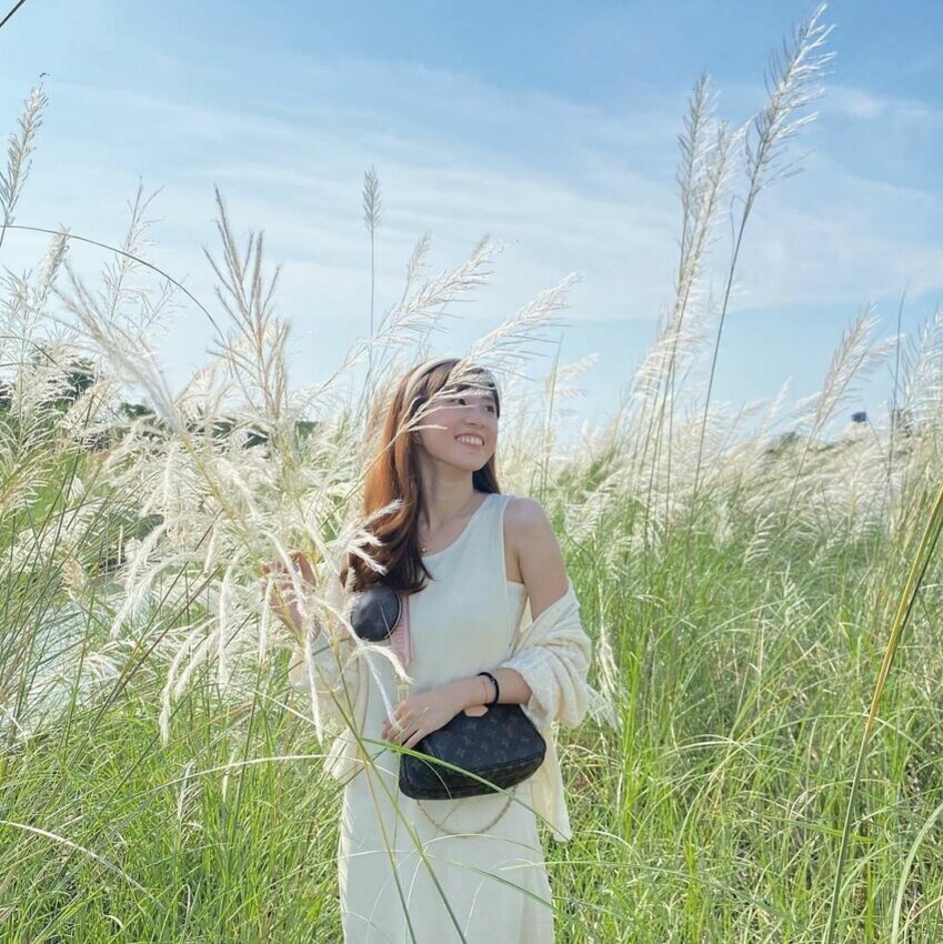 芒草季節、芒草