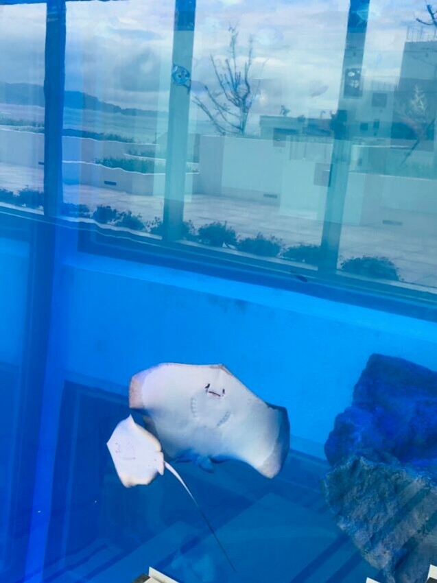 潮境智能海洋館,i ocean,潮境海洋館,潮境,海科館,國立海洋科學博物館,海洋科學博物館,海科潮境