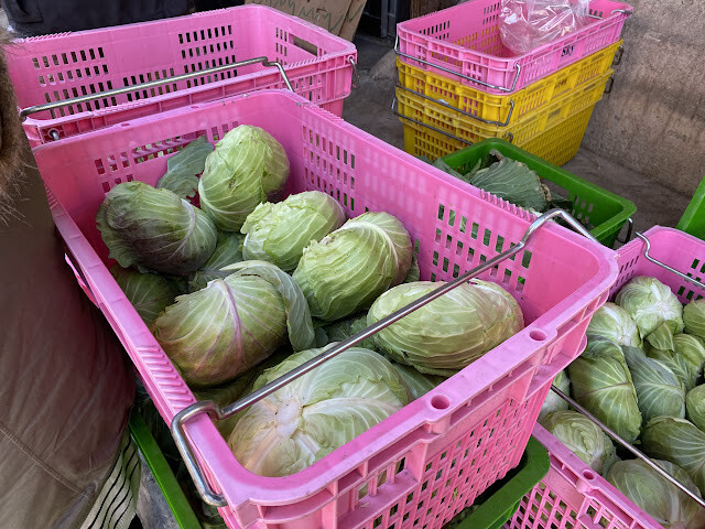 新光部落與鎮西堡部落行-感嘆原住民部落對於永續農業發展之決心