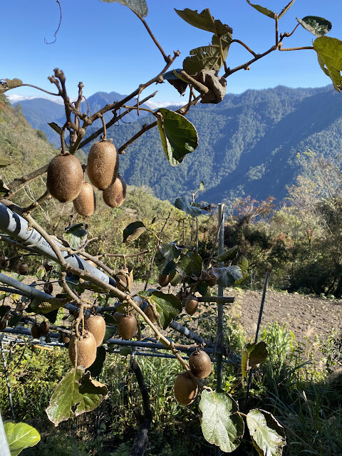 新光部落與鎮西堡部落行-感嘆原住民部落對於永續農業發展之決心