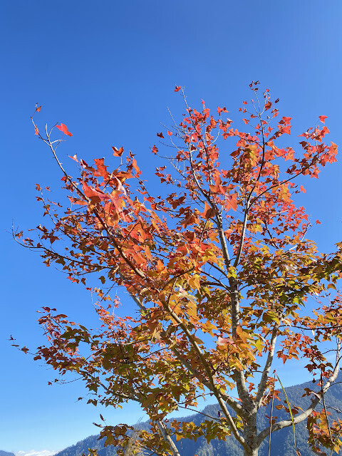 新光部落與鎮西堡部落行-感嘆原住民部落對於永續農業發展之決心