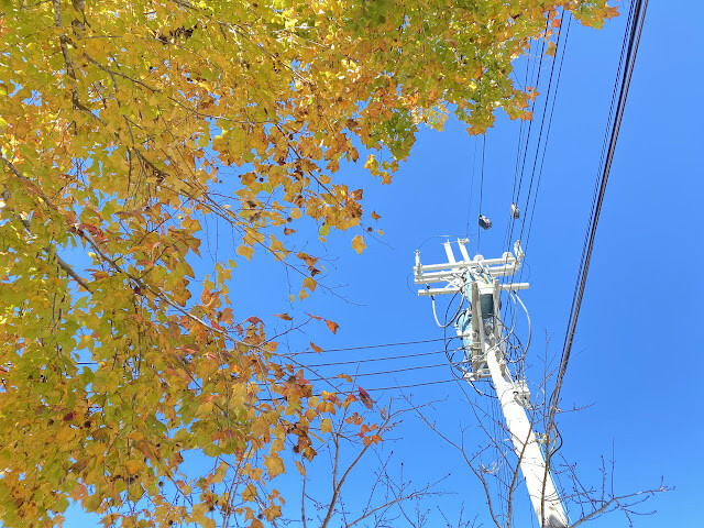 新光部落與鎮西堡部落行-感嘆原住民部落對於永續農業發展之決心