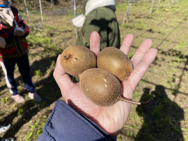 新光部落與鎮西堡部落行-感嘆原住民部落對於永續農業發展之決心