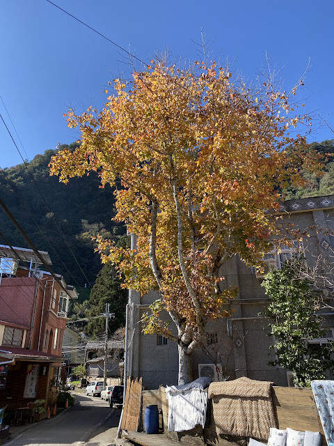 新光部落與鎮西堡部落行-感嘆原住民部落對於永續農業發展之決心
