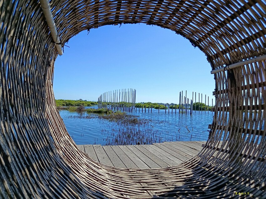 2022 0724裝飾藝術與生態樂園的成龍濕地016