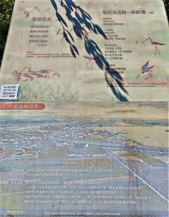 2022 0724裝飾藝術與生態樂園的成龍濕地022