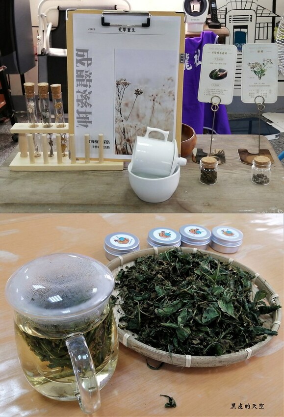 2022 0724裝飾藝術與生態樂園的成龍濕地003