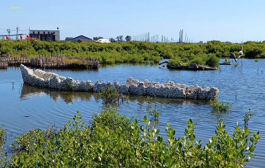 2022 0724裝飾藝術與生態樂園的成龍濕地020