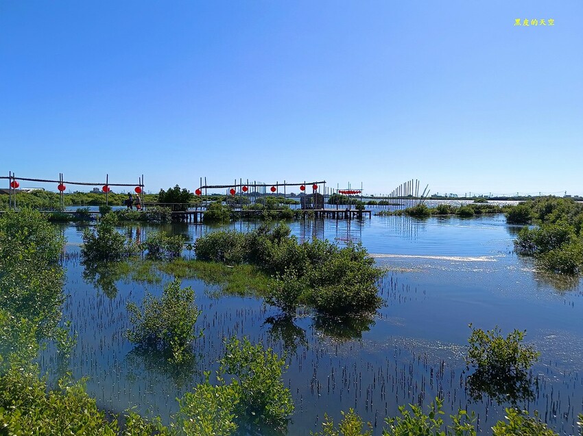 2022 0724裝飾藝術與生態樂園的成龍濕地018