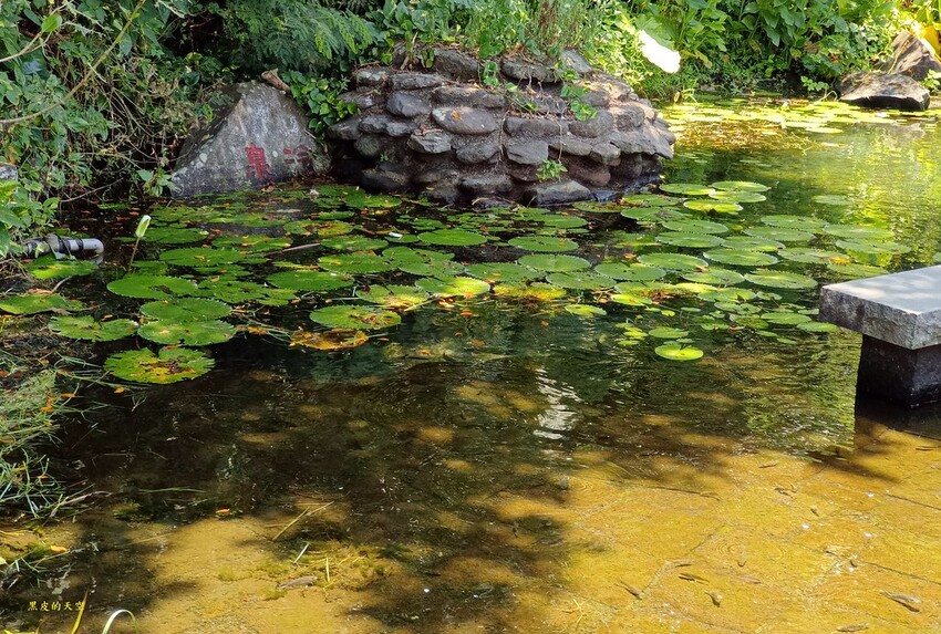 2022 0723龜山島三合一賞鯨豚牛奶湖與登島010