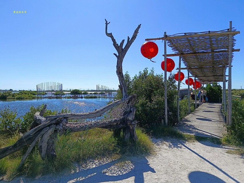 2022 0724裝飾藝術與生態樂園的成龍濕地017