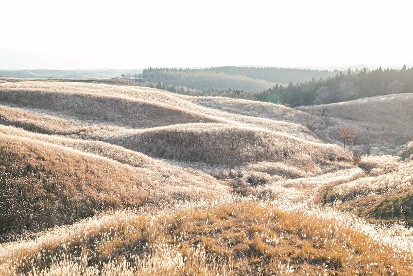 源頭的潺潺聲，森林的紅葉，野花的色彩，鳥兒的鳴叫，黑川溫泉