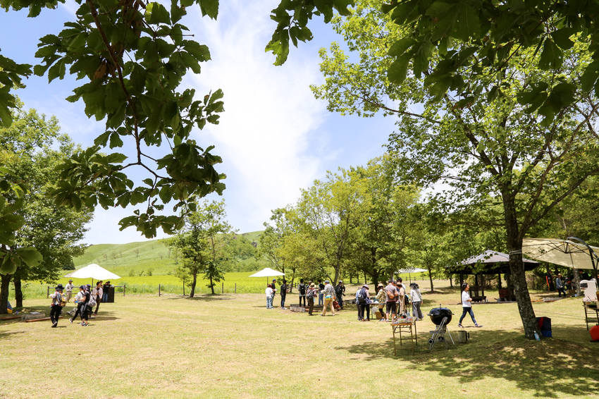 黒川温泉街から少し離れた阿蘇くじゅう国立公園の一角に、黒川牧野組合が毎年野焼きを行っている牧野（親水公園）や清流の森があります。