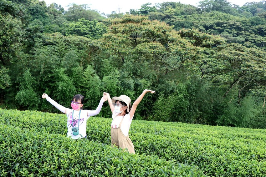 【桃園龍潭一日遊】探索三水×農遊輕旅-水土保持戶外教室/奉茶亭步道採茶/美人世家品茶/夏夕夏景玻璃屋景觀