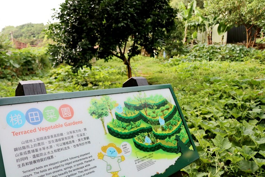 【桃園龍潭一日遊】探索三水×農遊輕旅-水土保持戶外教室/奉茶亭步道採茶/美人世家品茶/夏夕夏景玻璃屋景觀