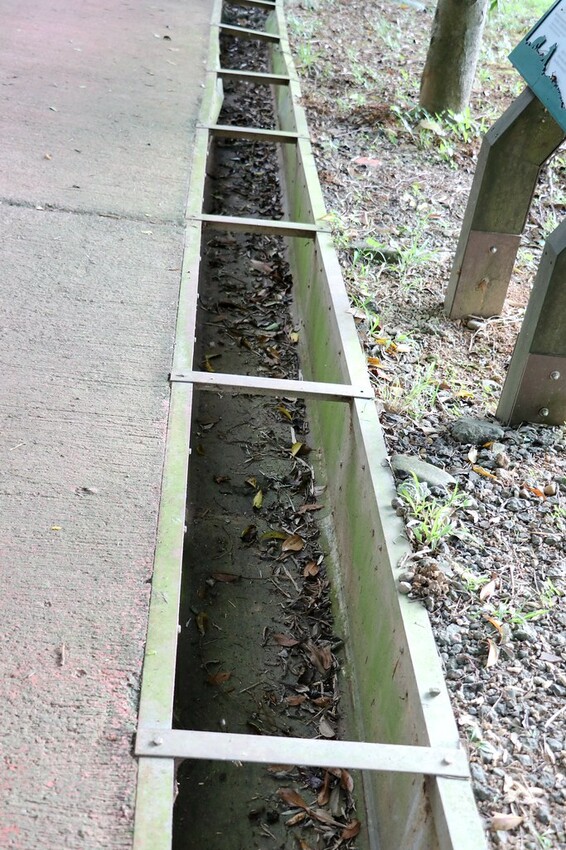 【桃園龍潭一日遊】探索三水×農遊輕旅-水土保持戶外教室/奉茶亭步道採茶/美人世家品茶/夏夕夏景玻璃屋景觀