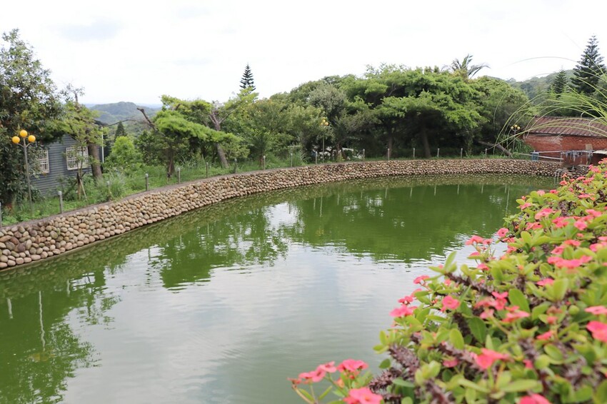 【桃園龍潭一日遊】探索三水×農遊輕旅-水土保持戶外教室/奉茶亭步道採茶/美人世家品茶/夏夕夏景玻璃屋景觀