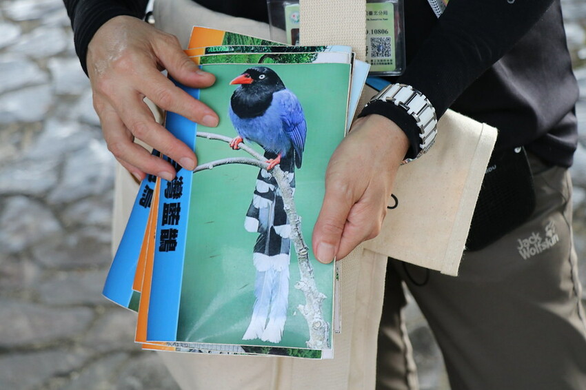 【桃園龍潭一日遊】探索三水×農遊輕旅-水土保持戶外教室/奉茶亭步道採茶/美人世家品茶/夏夕夏景玻璃屋景觀