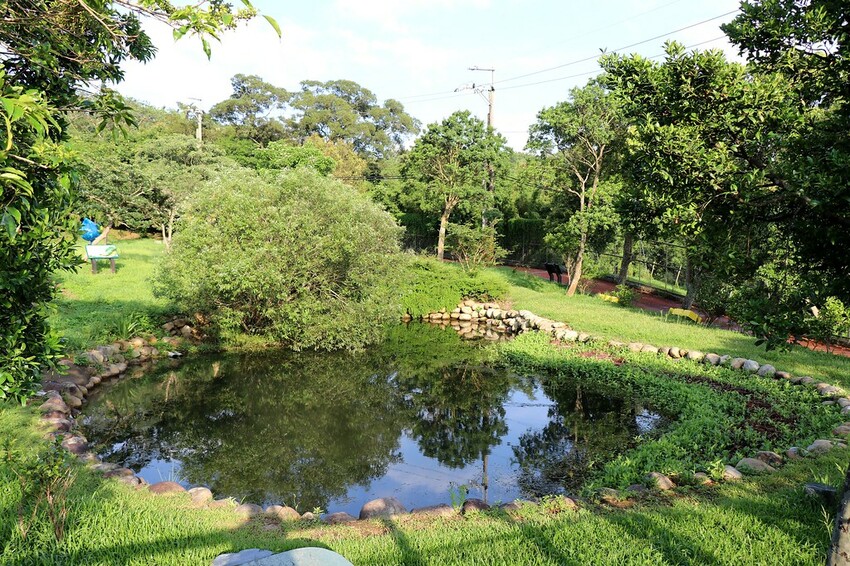 【桃園龍潭一日遊】探索三水×農遊輕旅-水土保持戶外教室/奉茶亭步道採茶/美人世家品茶/夏夕夏景玻璃屋景觀