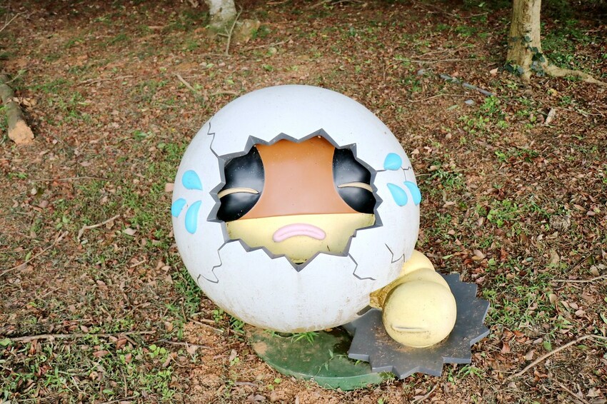 【桃園龍潭一日遊】探索三水×農遊輕旅-水土保持戶外教室/奉茶亭步道採茶/美人世家品茶/夏夕夏景玻璃屋景觀