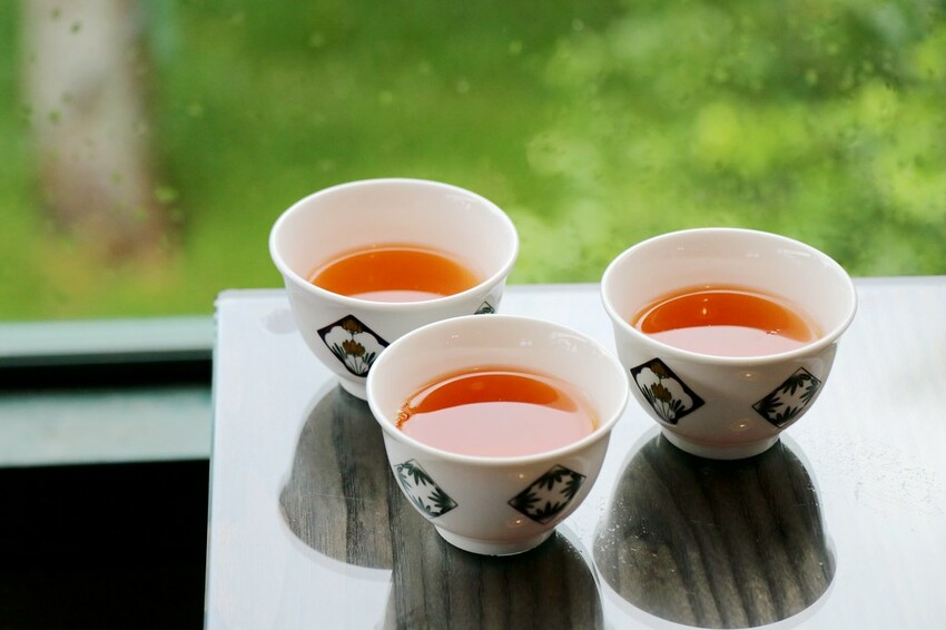 【桃園龍潭一日遊】探索三水×農遊輕旅-水土保持戶外教室/奉茶亭步道採茶/美人世家品茶/夏夕夏景玻璃屋景觀