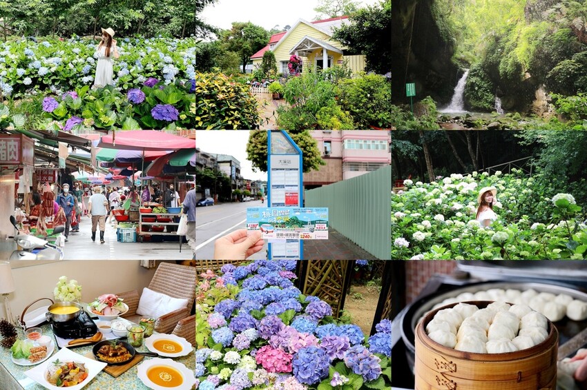 【桃園龍潭一日遊】探索三水×農遊輕旅-水土保持戶外教室/奉茶亭步道採茶/美人世家品茶/夏夕夏景玻璃屋景觀