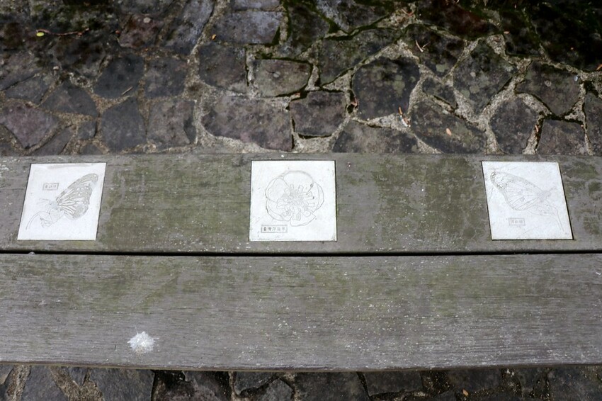 【桃園龍潭一日遊】探索三水×農遊輕旅-水土保持戶外教室/奉茶亭步道採茶/美人世家品茶/夏夕夏景玻璃屋景觀